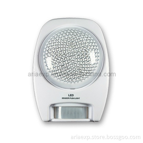 LED Motion Sensor Light (205L)